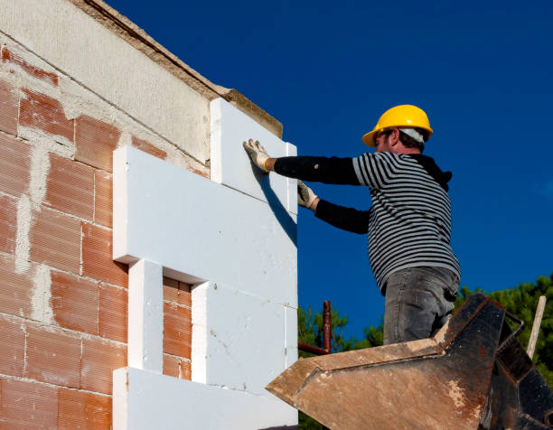 Best Blown-in Insulation  in Salt Creek Commons, IN