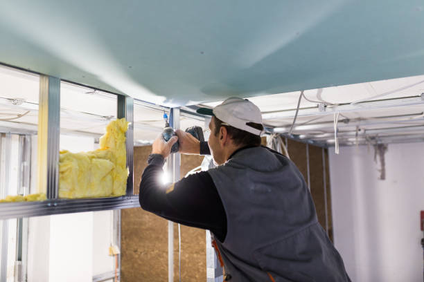 Best Spray Foam Insulation  in Salt Creek Commons, IN