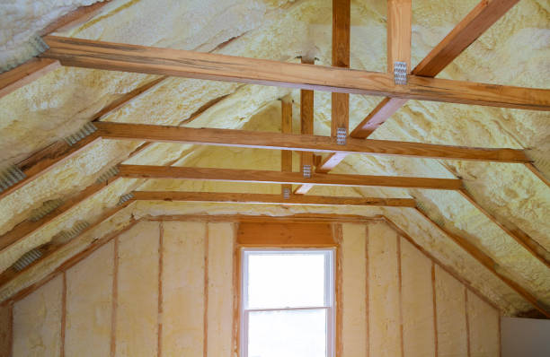 Best Home Insulation Services  in Salt Creek Commons, IN