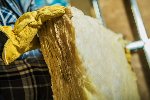 Insulation Repair Services in Salt Creek Commons, IN