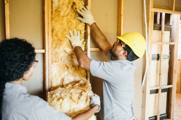 Best Commercial Insulation Contractor  in Salt Creek Commons, IN