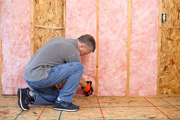 Best Local Insulation Services  in Salt Creek Commons, IN