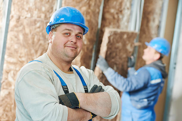 Best Insulation Contractors for Homes  in Salt Creek Commons, IN
