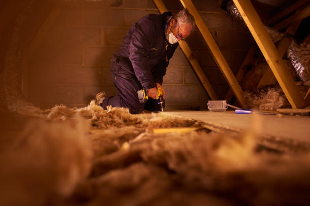 Best Energy-efficient Insulation  in Salt Creek Commons, IN